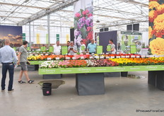 Impressie van de presentatie van Benary.